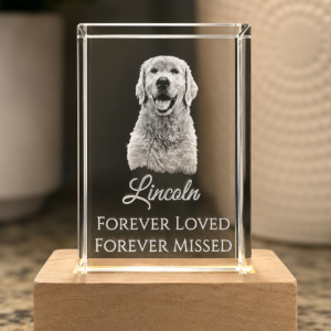 Custom Crystal Pet Memorial | Personalized Photo Engraved Crystal with LED Base